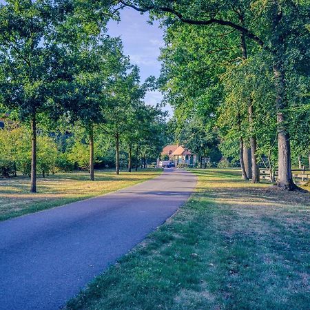 Pferdeparadies Untergruenhagen Bad Fallingbostel Kültér fotó