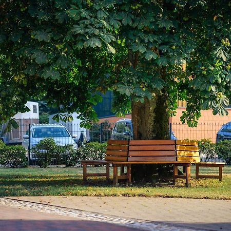 Pferdeparadies Untergrunhagen Bad Fallingbostel Kültér fotó