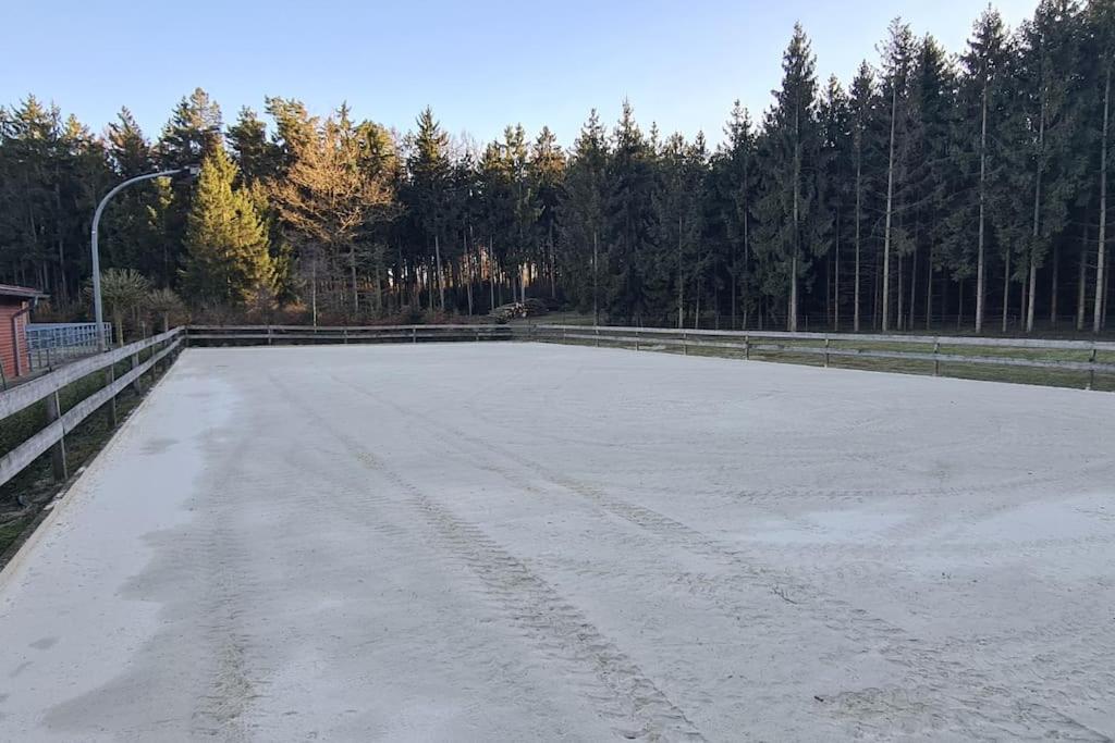 Pferdeparadies Untergrunhagen Bad Fallingbostel Kültér fotó