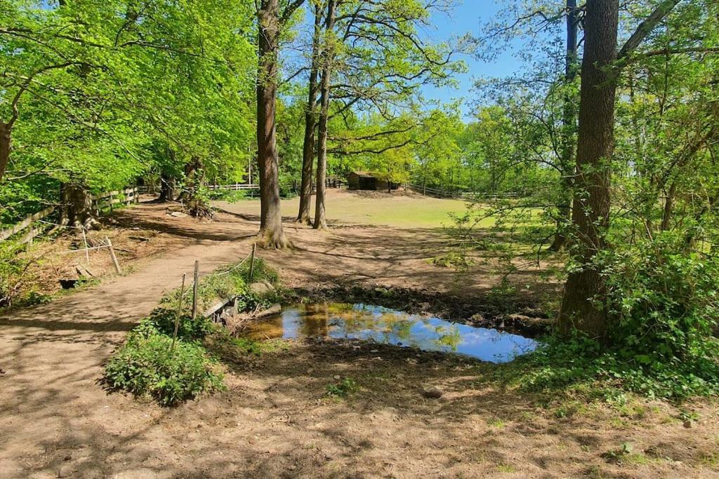 Pferdeparadies Untergrunhagen Bad Fallingbostel Kültér fotó