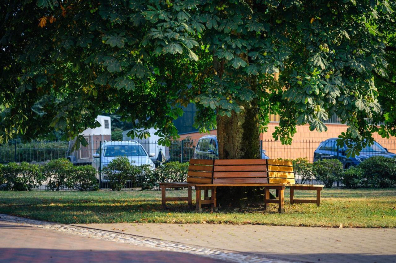 Pferdeparadies Untergruenhagen Bad Fallingbostel Kültér fotó